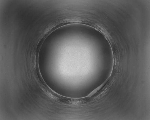 X0000083980301200702232052