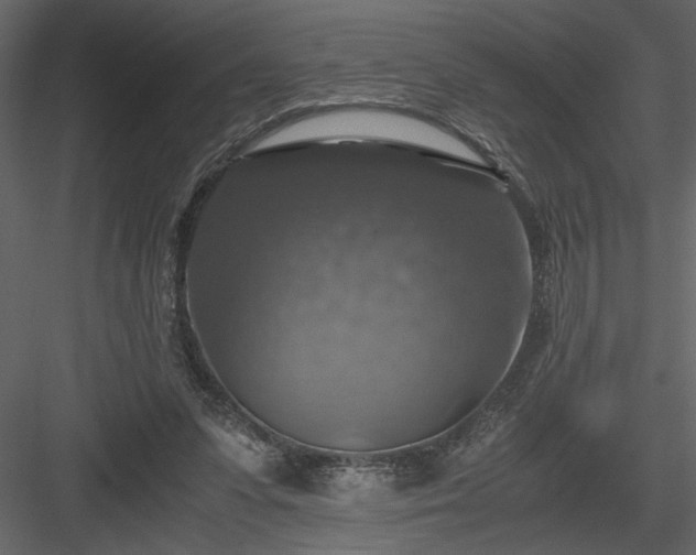 X0000083980303200702232051