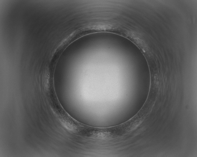 X0000083980304200702232051