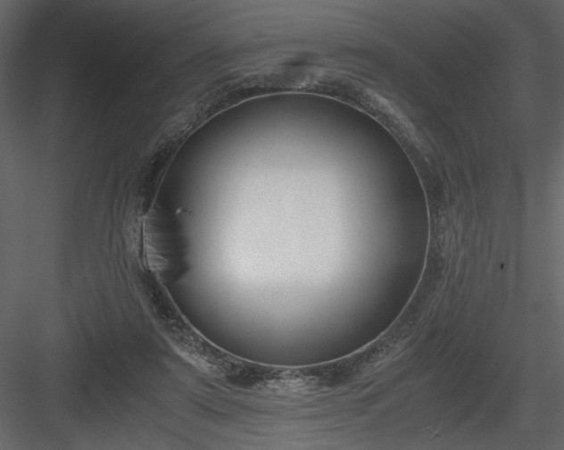 X0000083980307200702232051