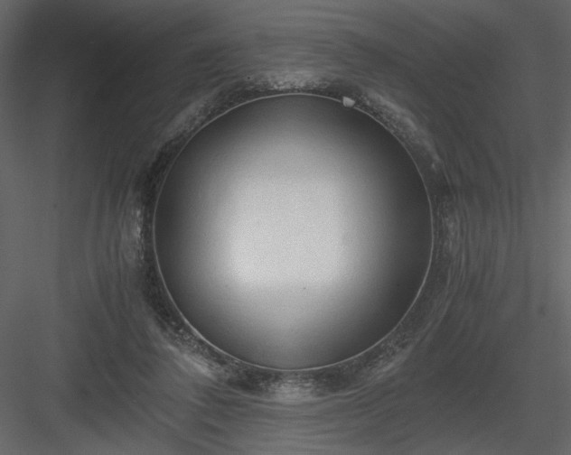X0000083980308200702232051