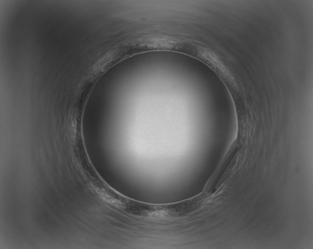 X0000083980309200702232051