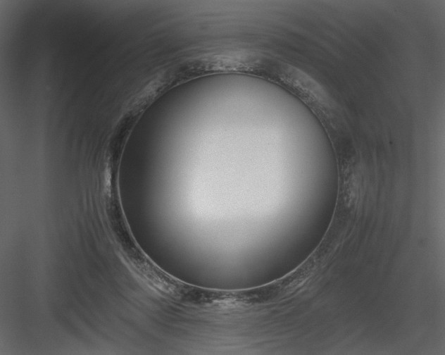 X0000083980310200702232051