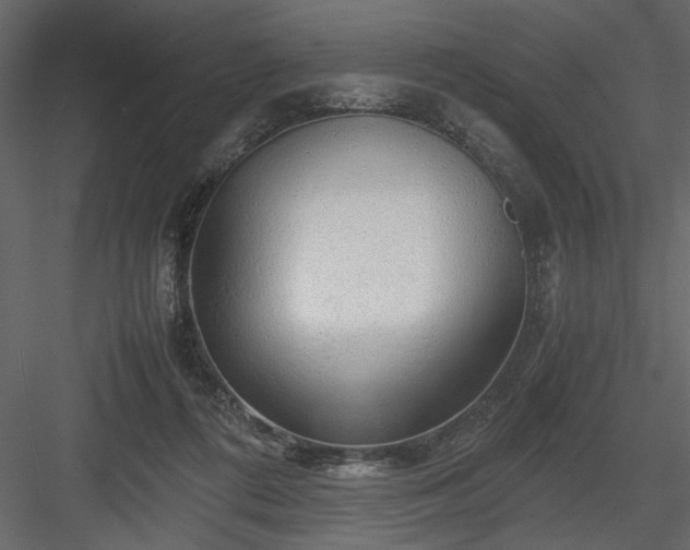 X0000083980312200702232051
