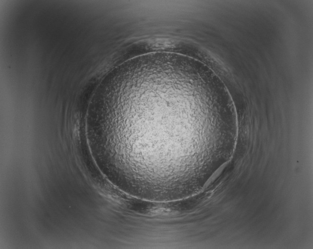 X0000083980315200702232051
