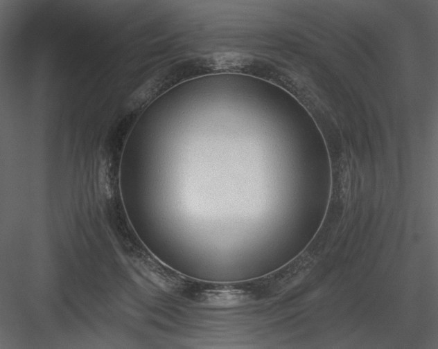 X0000083980316200702232051