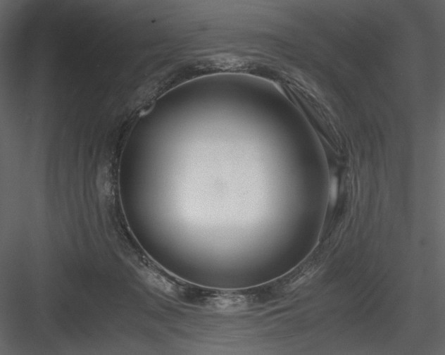X0000083980317200702232051