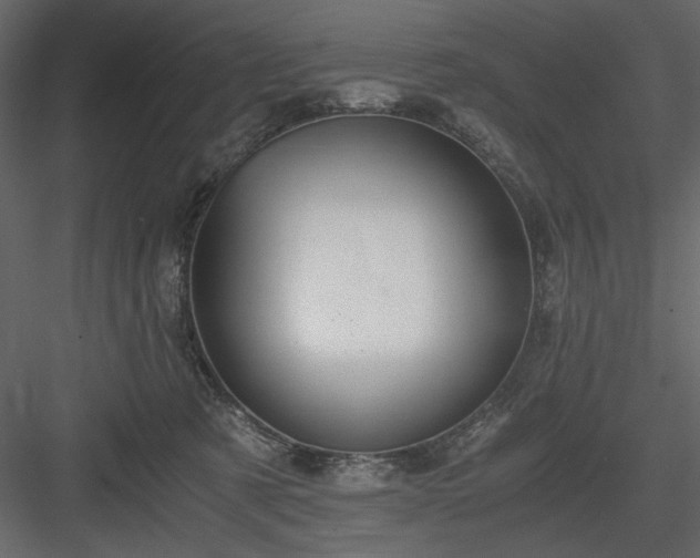 X0000083980321200702232051