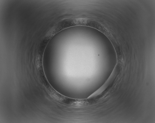 X0000083980323200702232051