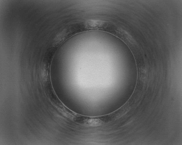 X0000083980324200702232051
