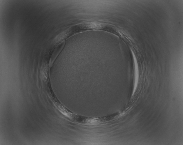 X0000083980325200702232051
