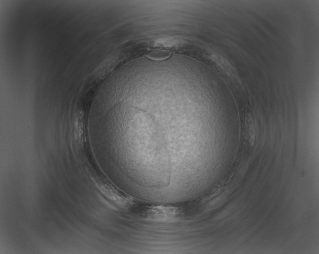 X0000083980328200702232051