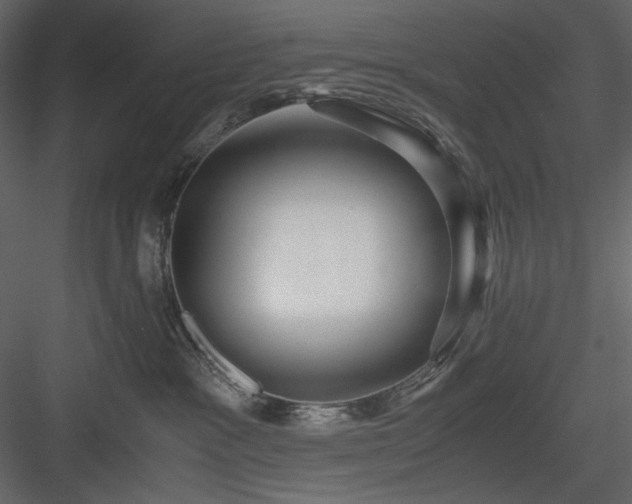 X0000083980333200702232051