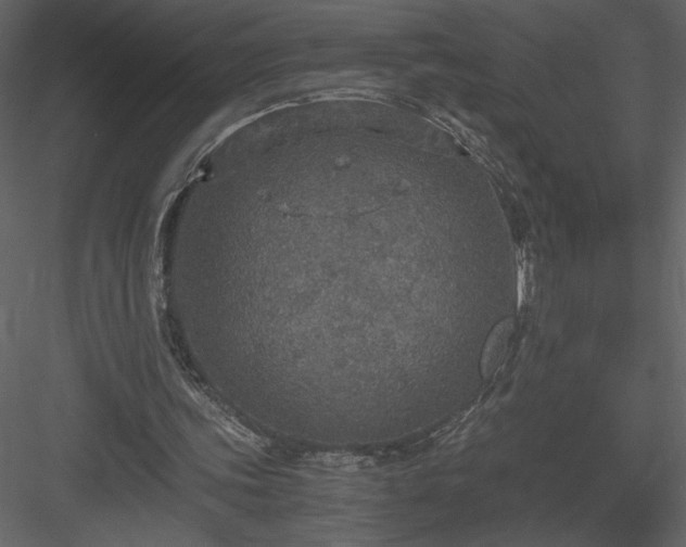 X0000083980339200702232050