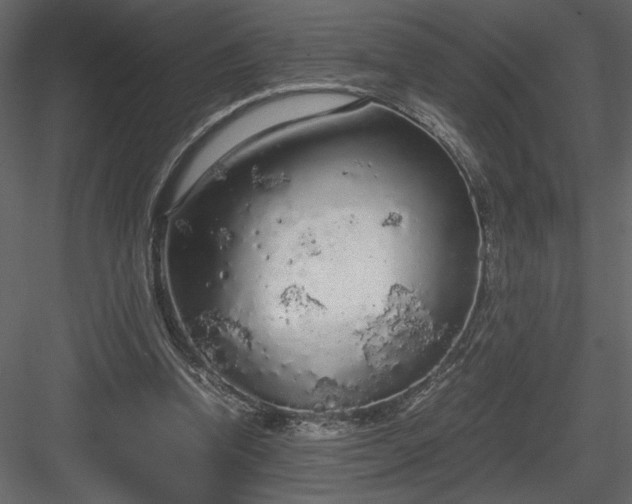 X0000083980346200702232050