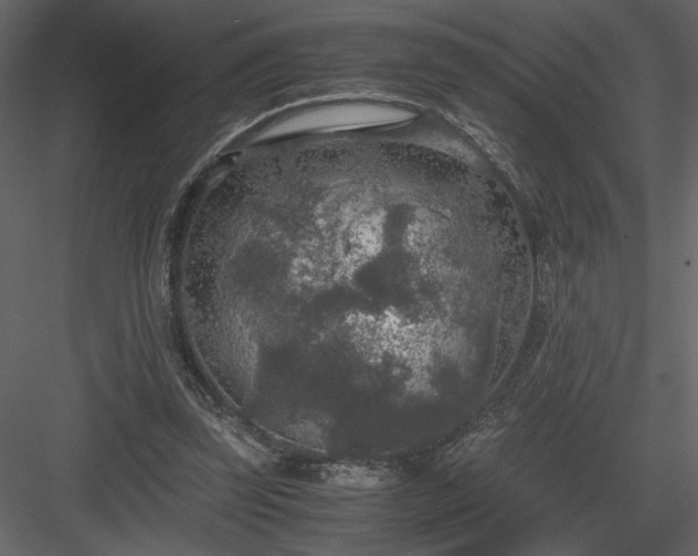 X0000083980347200702232050