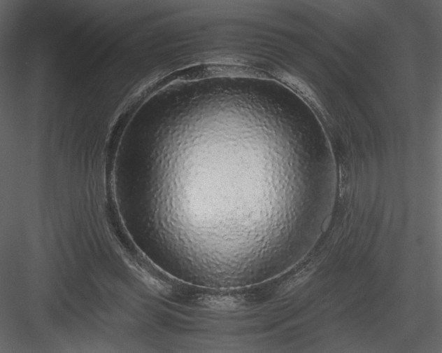 X0000083980349200702232050
