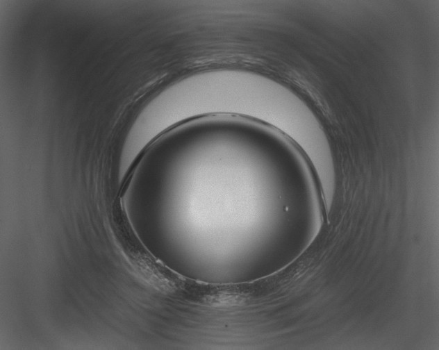 X0000083980356200702232050