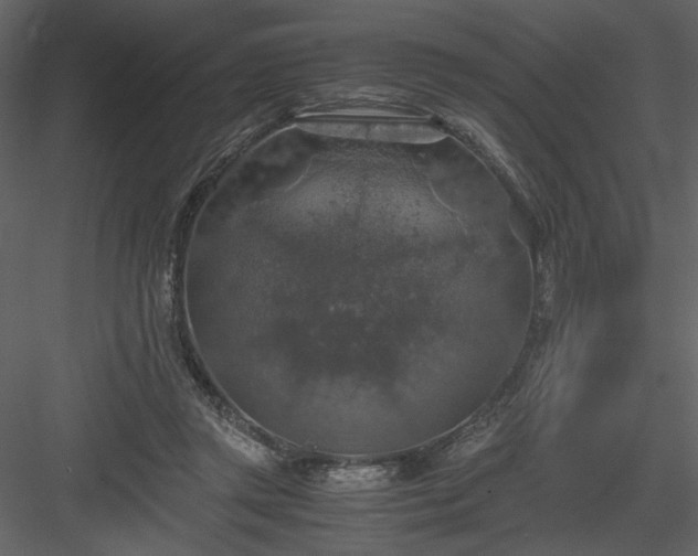 X0000083980357200702232050