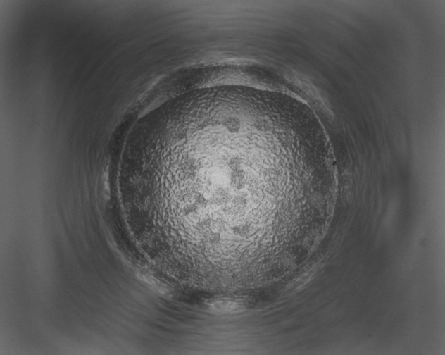 X0000083980358200702232050