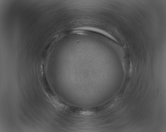 X0000083980360200702232050
