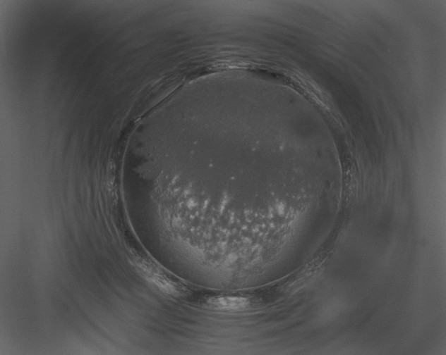 X0000083980361200702232051