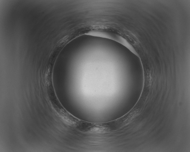 X0000083980364200702232051