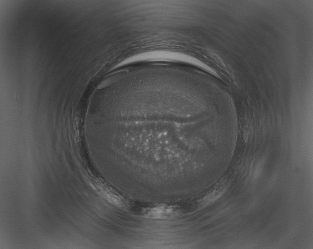 X0000083980366200702232051