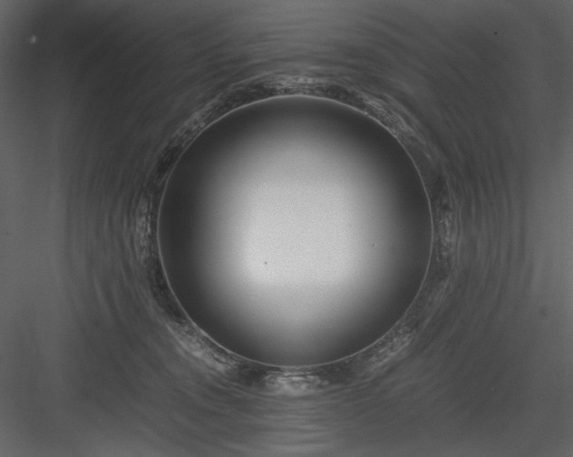 X0000083980372200702232051