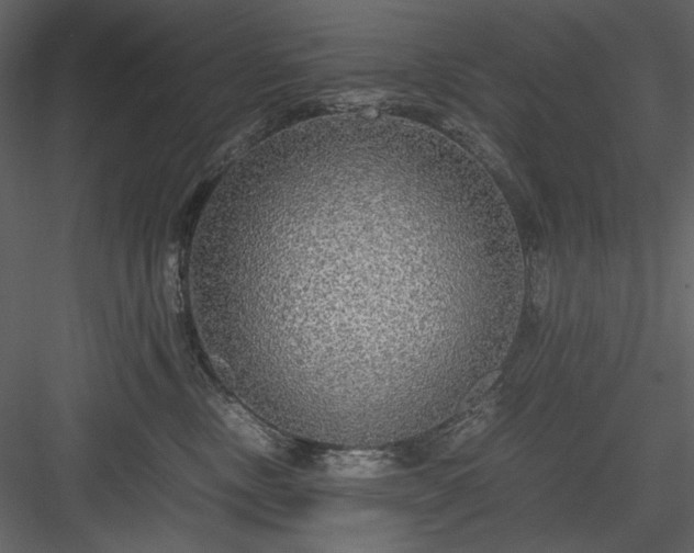 X0000083980378200702232051