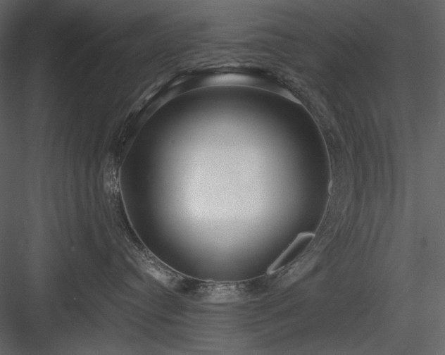 X0000083980384200702232051