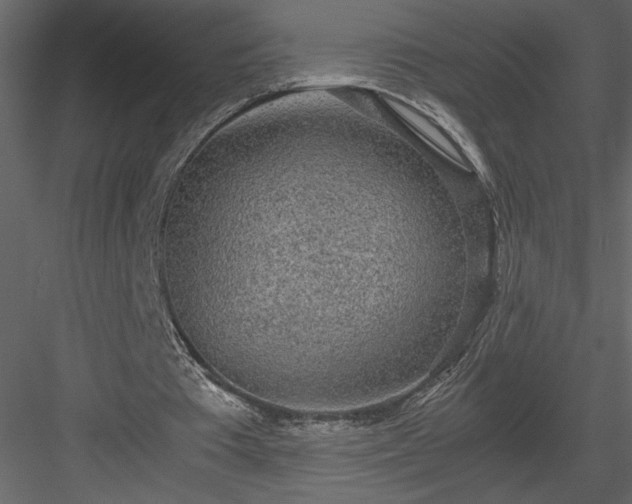 X0000083980385200702232050