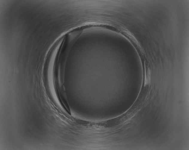 X0000083980387200702232050