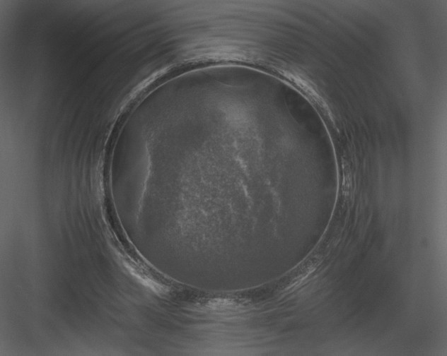 X0000083980390200702232050