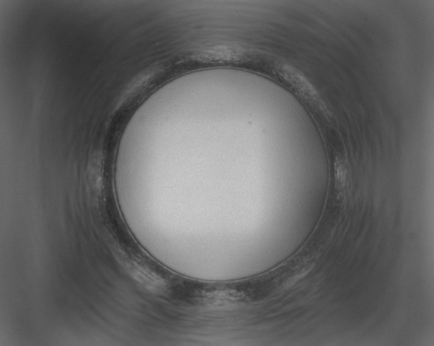 X0000083980396200702232050