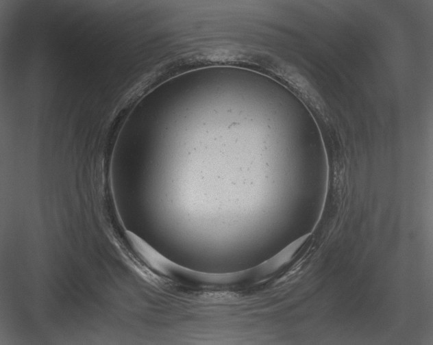 X0000083980397200702232050