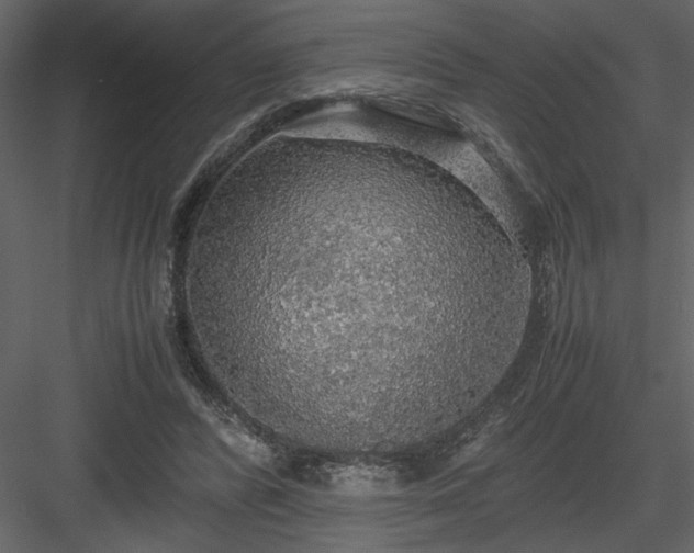 X0000083980400200702232050
