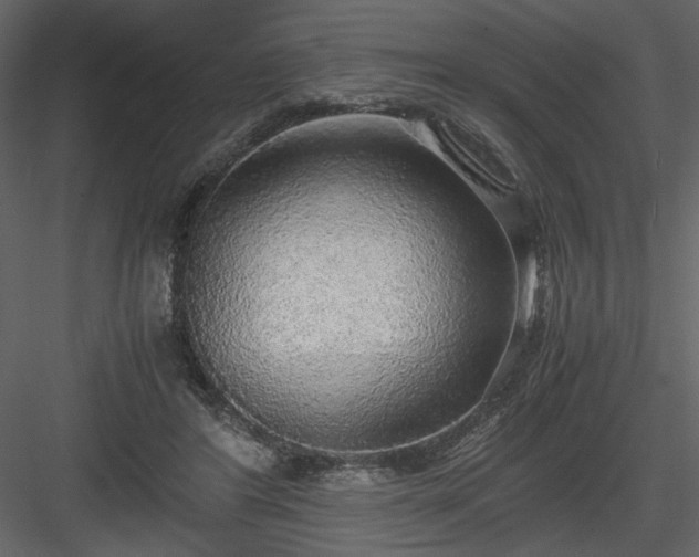 X0000083980404200702232050