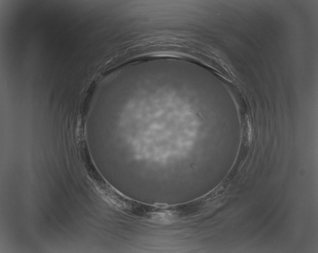 X0000083980411200702232050