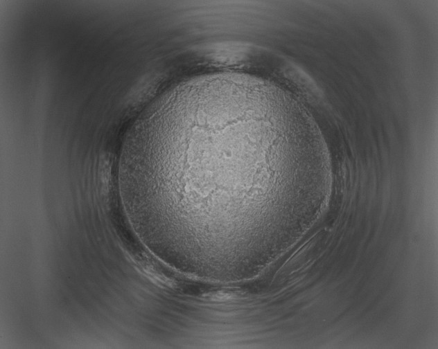 X0000083980412200702232050