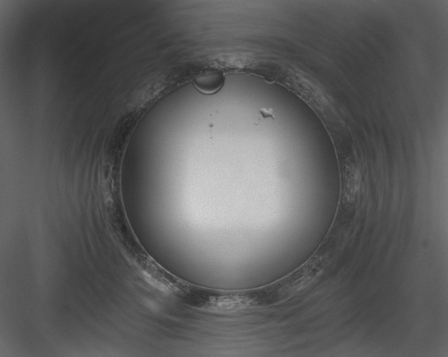 X0000083980414200702232050