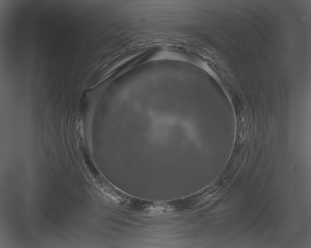 X0000083980415200702232050