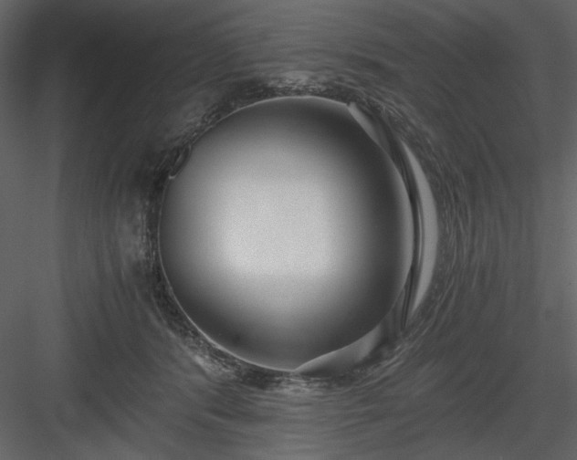 X0000083980416200702232050