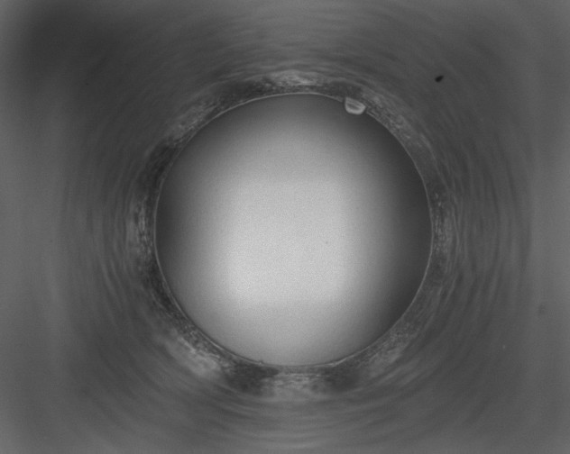 X0000083980418200702232050