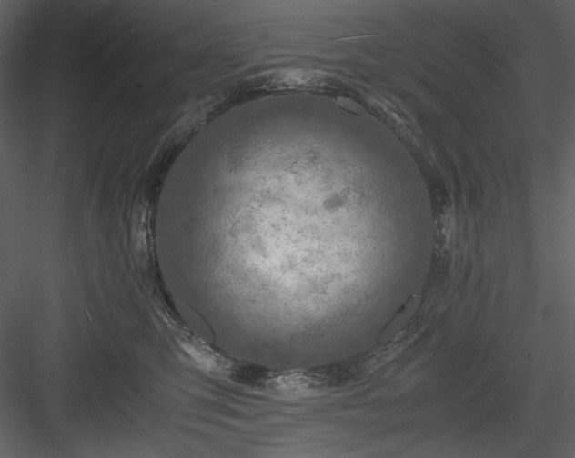 X0000083980423200702232049