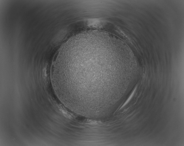 X0000083980424200702232049