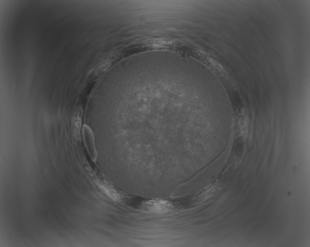 X0000083980427200702232049