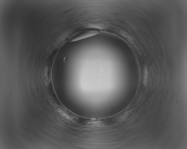 X0000083980428200702232049