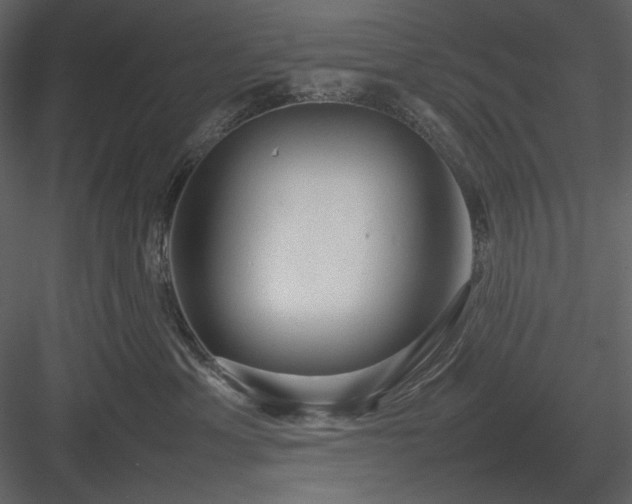 X0000083980429200702232049