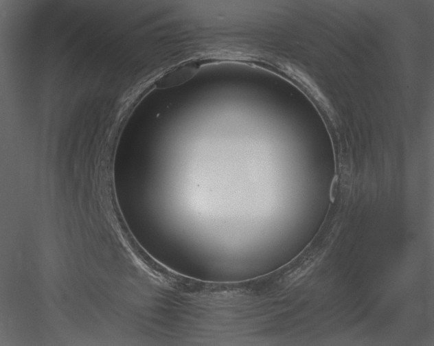 X0000083980433200702232048